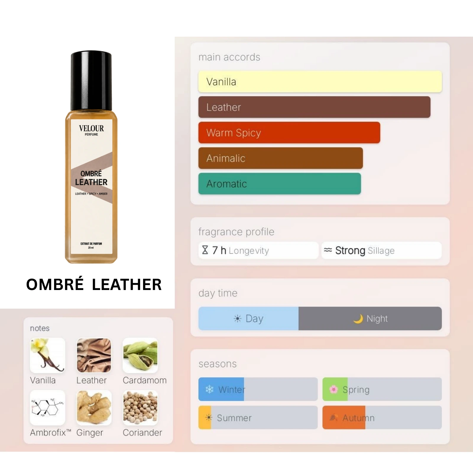 Ombré Leather fragrance notes and accords
